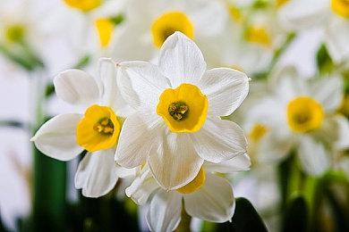 《第一后裔》终极沙恩皮肤宣传片 御姐帅气诱人